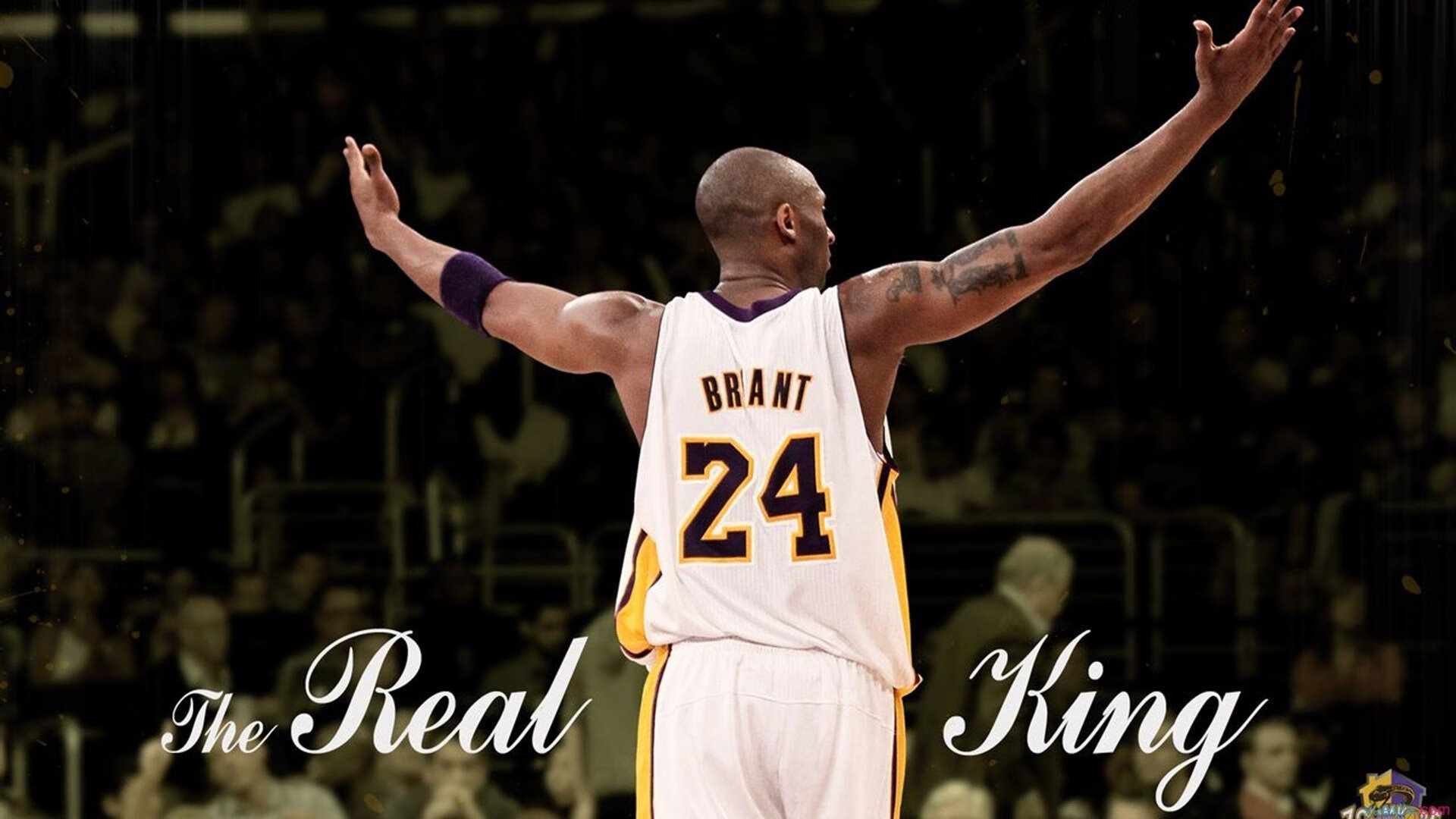 体育组织伦理规范与执行机制分析，体育伦理本体研究