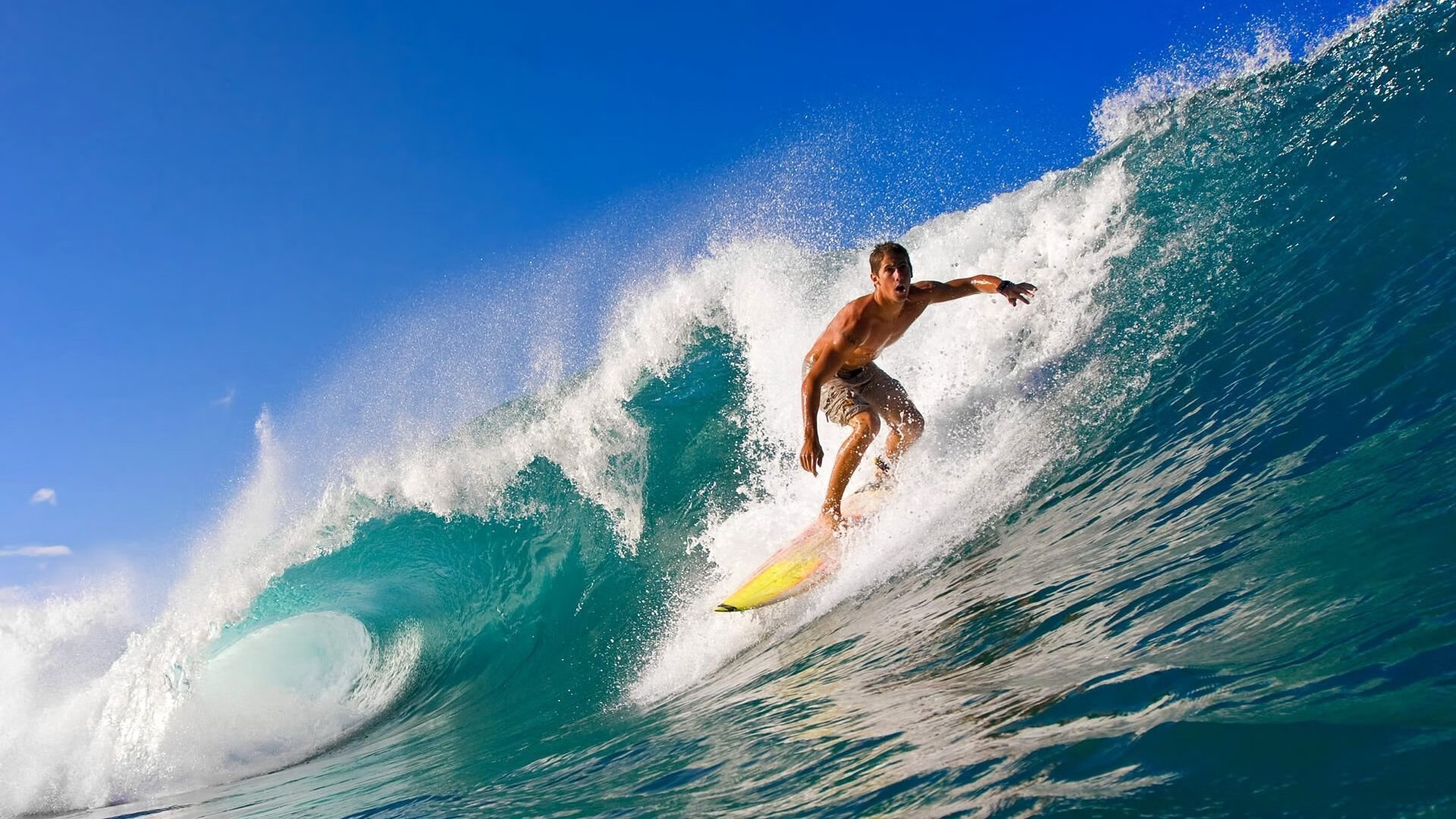 全国男子橄榄球锦标赛上海队夺魁，全国橄榄球冠军赛