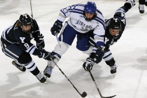 leyucom官网登录入口地址-CBA联赛成为全民关注的焦点，cba全明星时间表