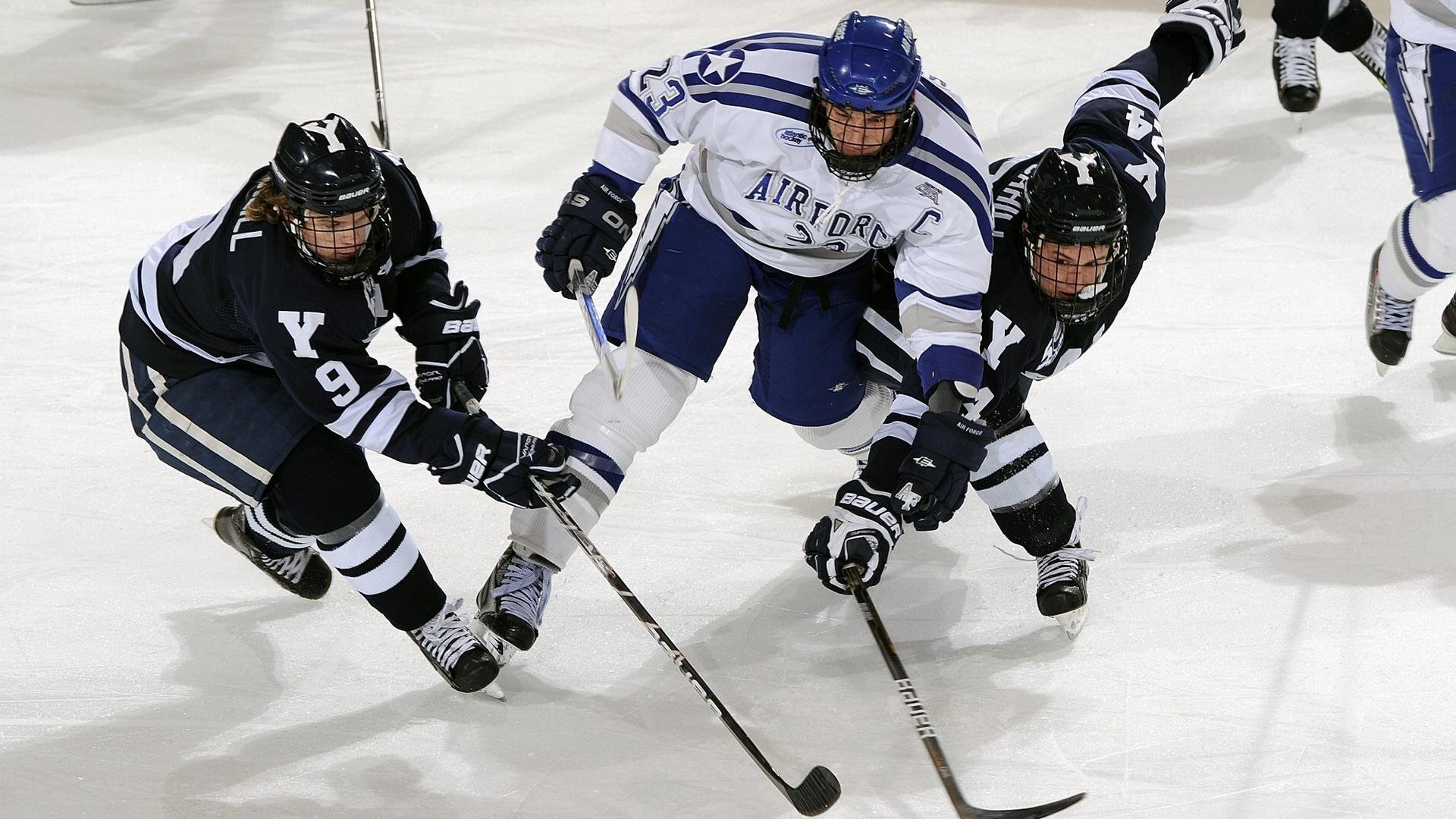 张伟丽签约新赞助商拓展个人品牌力，张伟丽 专访